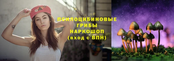 Альфа ПВП Горняк