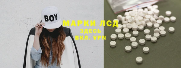 Альфа ПВП Горняк