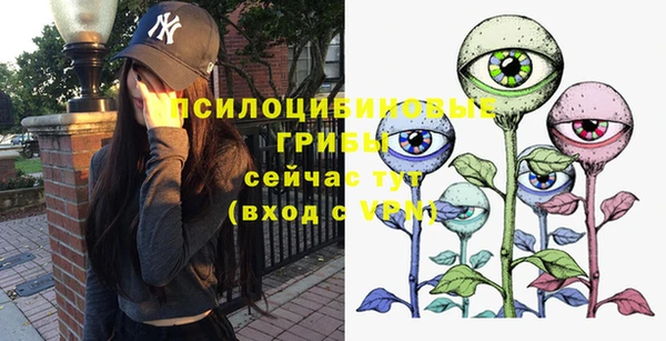 PSILOCYBIN Горнозаводск