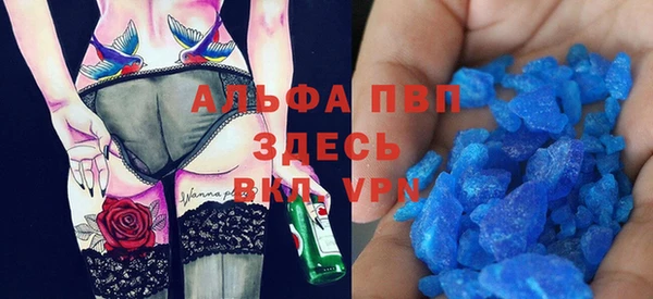 Альфа ПВП Горняк