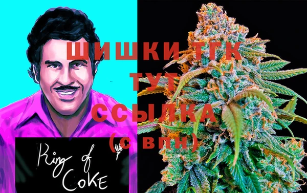 PSILOCYBIN Горнозаводск