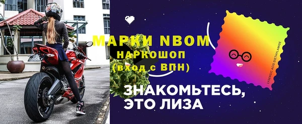 Альфа ПВП Горняк