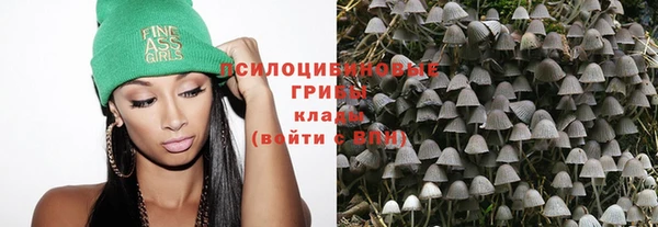PSILOCYBIN Горнозаводск