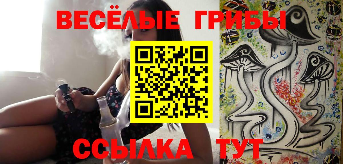 Галлюциногенные грибы Cubensis Железногорск