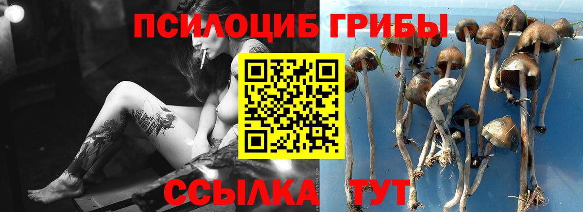 Галлюциногенные грибы MAGIC MUSHROOMS  Галлюциногенные грибы прущие грибы  Железногорск  Вход с VPN 