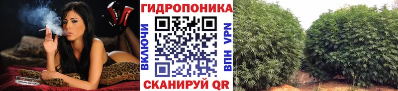 купить   Железногорск  Бошки Шишки Bruce Banner 